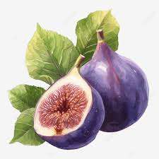 Fig a day